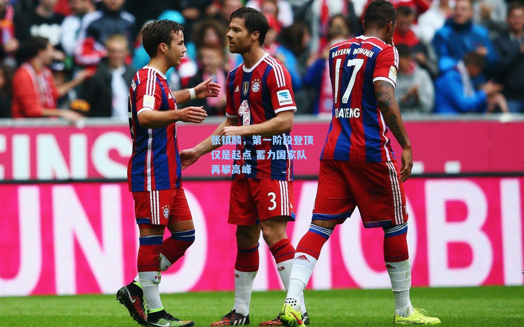 张镇麟，第一阶段登顶仅是起点 蓄力国家队再攀高峰